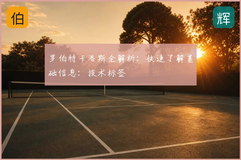罗伯特卡洛斯全解析:快速了解基础信息:技术标签